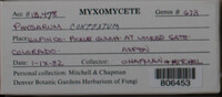 Image Associated With the Occurence